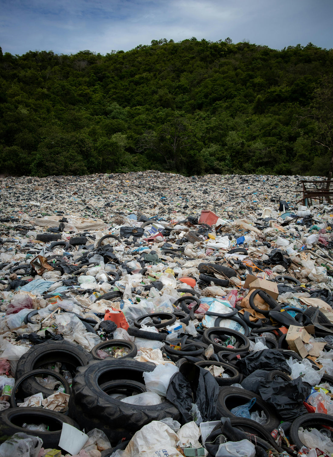 The Truth About Recycling (And Why Reuse Matters More)
